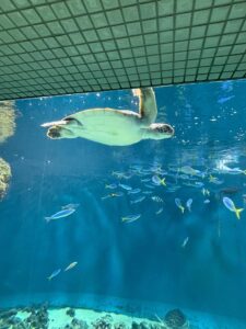 おはようございます