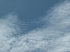 雲の白の混ざる空も綺麗🤍🩵