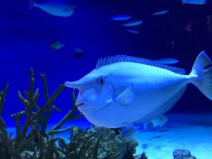 中居くんへ届け