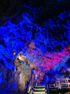 中居くんカラーだね🌟