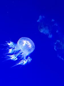 今はゆっくり〜