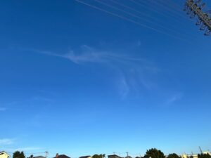 ✨五色絢爛に輝く愛の象徴✨