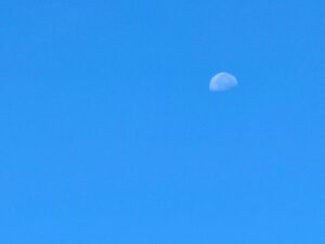昼間の月がきれいだった✨