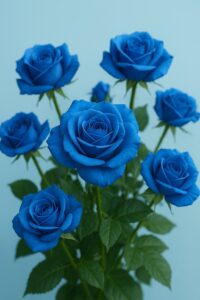 明日は中居くんの誕生日