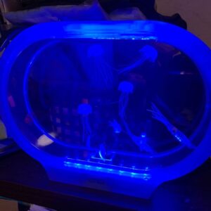 青色が大好きだー！！