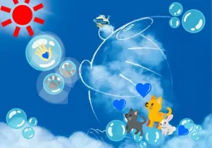 これからも中居くんを応援します☺️