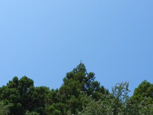 中居くんに届け