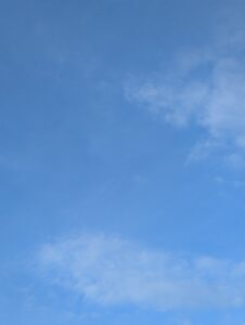 かっちゃん数の子