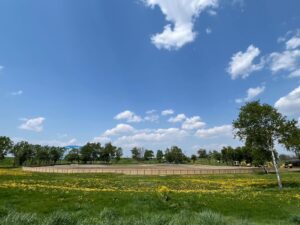 はらっぱスタジアムから届け〜