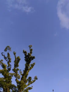 いつかの空の青