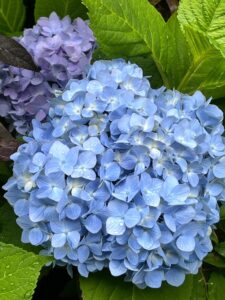 笑顔がありますように