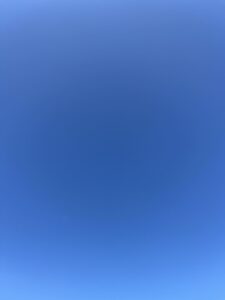 すべてを青に🩵