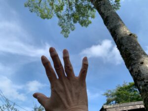 お誕生日おめでとう🎉