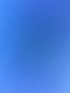 みんなの愛がいっぱいで