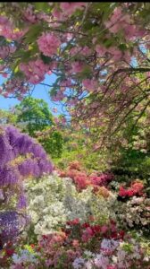 おはようございます☀