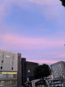 思った以上にキレイ〜