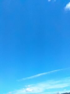 中居くんに届け💙