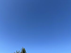 いい天気だよー