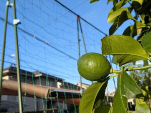 中居くんが笑顔でいられますように💙