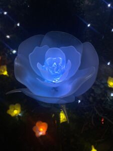 咲良🖇️餅🖇️