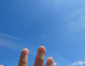 中居くんを見守っています！