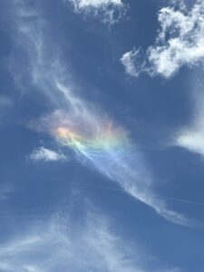 𝗛𝗮𝗽𝗽𝘆 𝗕𝗶𝗿𝘁𝗵𝗱𝗮𝘆