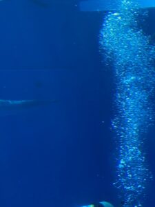 素敵な一日、一年でありますように