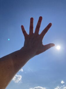 中居くんとあのこたちに幸あれー💙