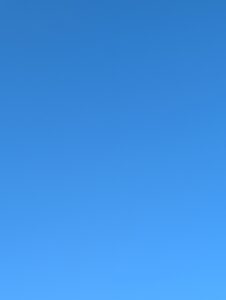 かっちゃん数の子