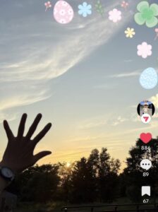 🐈ひろりん🌸