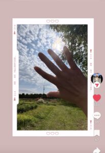 🐈ひろりん🌸