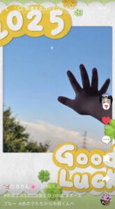 🐈ひろりん🌸