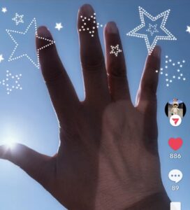 🐈ひろりん🌸