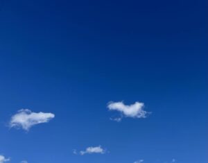 鳥が羽ばたいてるみたい