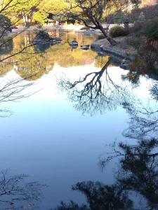 水面に映った青空のグラデーション