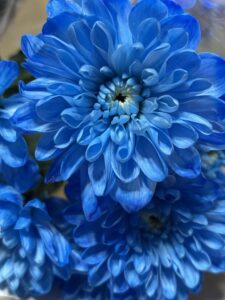 中居くんにまた会えますように