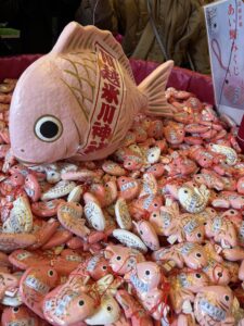 中居くんに愛鯛