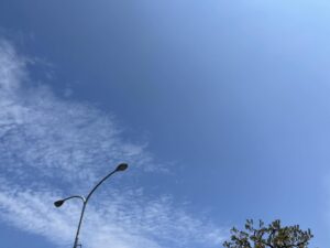 センバツ高校野球が始まってたわ