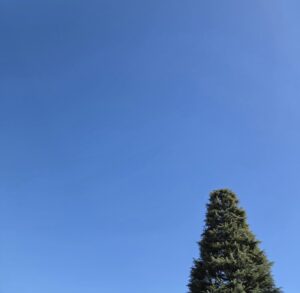 今日も快晴☀️