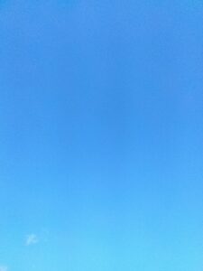 中居くんお願い