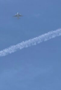 ずっとここにいます