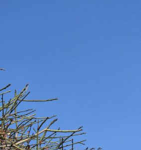 元気でいて下さいね