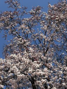 中居くんに届けたいなぁ…