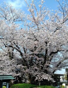 中居くんにとどけ‼