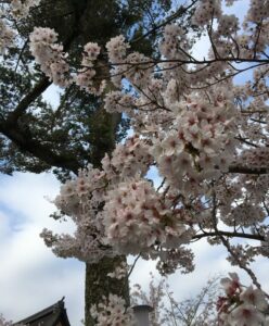 中居くんに届け❣