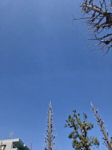 気持ちいい青空です