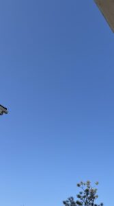 いいお天気だね