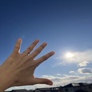 初投稿のヅラです