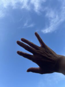 早くも夕方ですが、陽が明るい